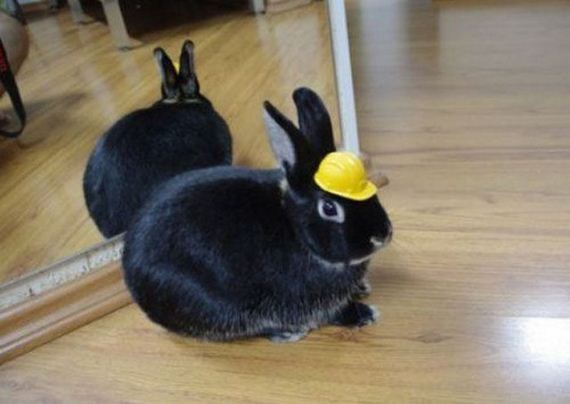 work_fails_job_lols