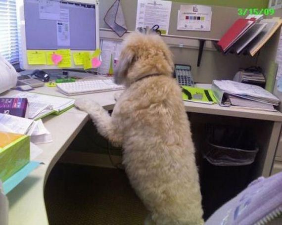 work_fails_job_lols12