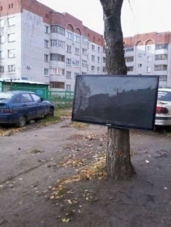 wtf_pictures_18