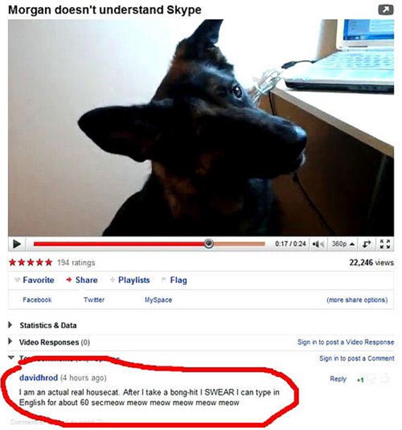 youtube-comments