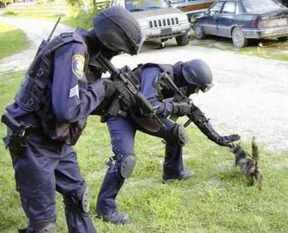 Cops-Caught