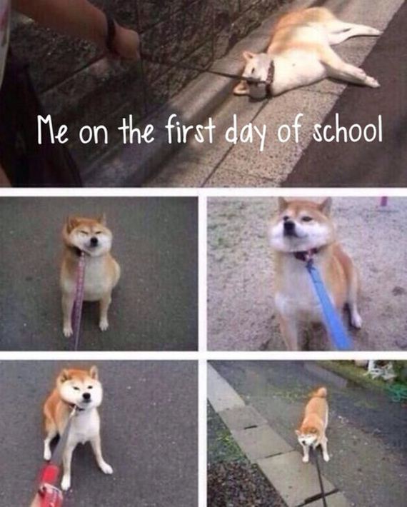 Going-Back-School