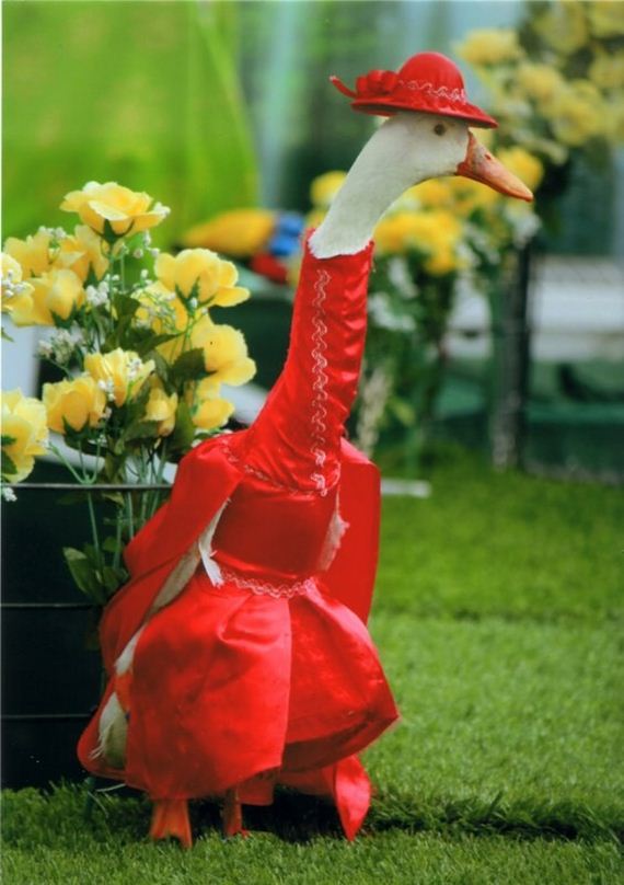 Red-Duck