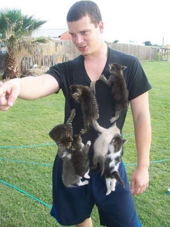 Week-Caturday