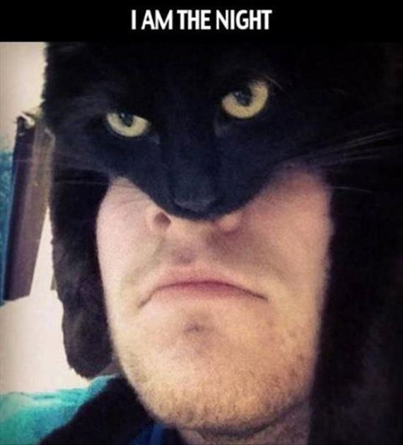 Week-Caturday