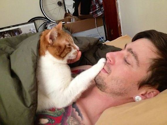 Week-Caturday