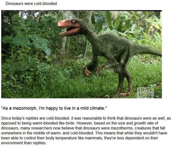about_dinosaurs