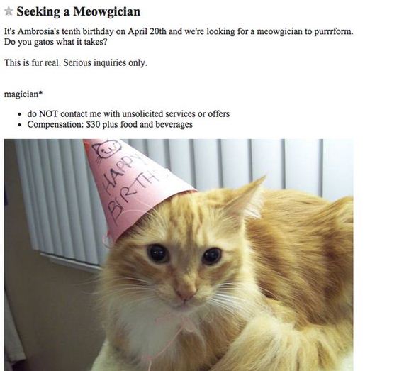bizarre_craigslist_ads
