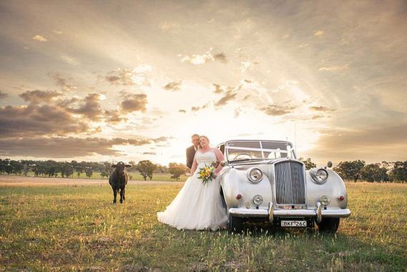bull_wedding