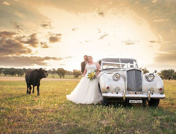 bull_wedding