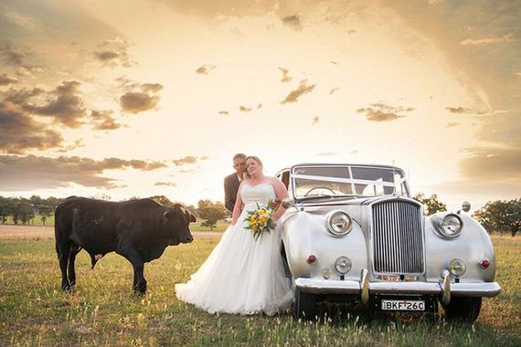 bull_wedding