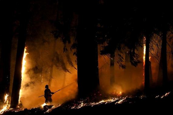 california_fire
