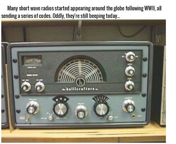 facts_about_spies