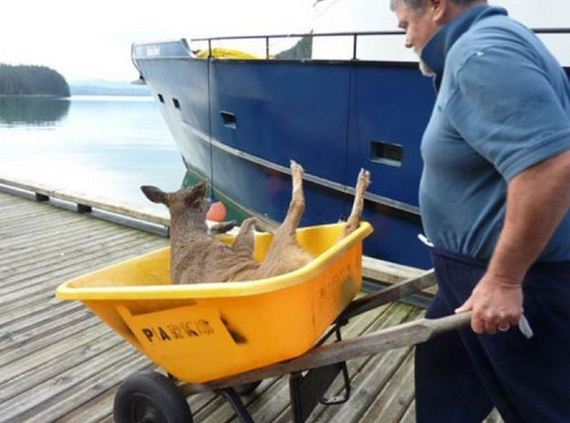 family_finds_deer
