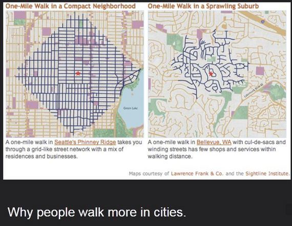 fascinating_statistics