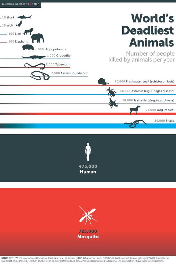 fascinating_statistics