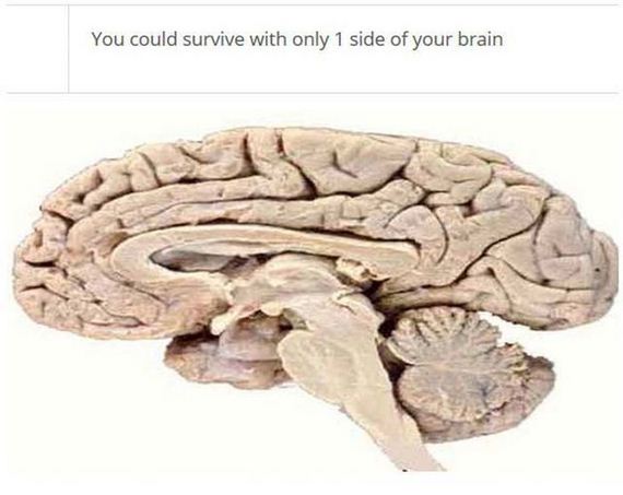 fascinating_stuff