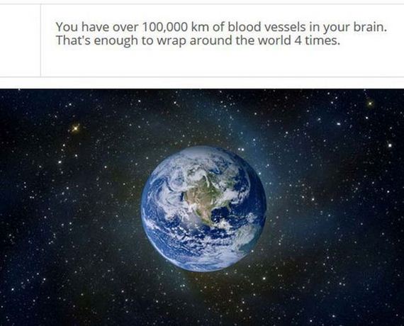fascinating_stuff
