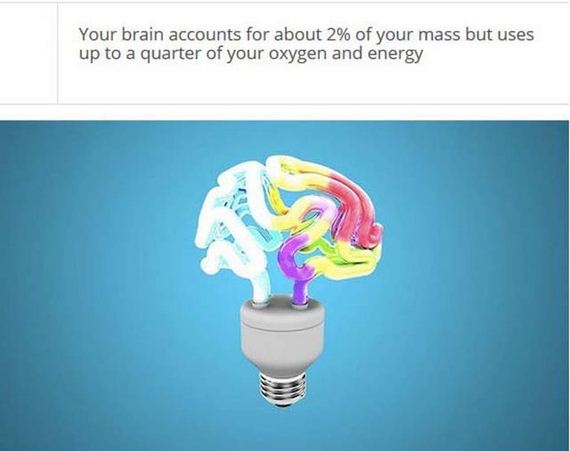 fascinating_stuff