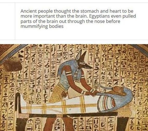 fascinating_stuff