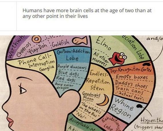 fascinating_stuff