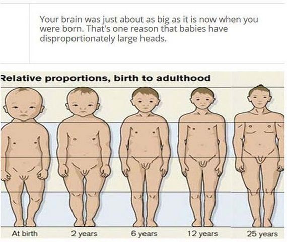 fascinating_stuff