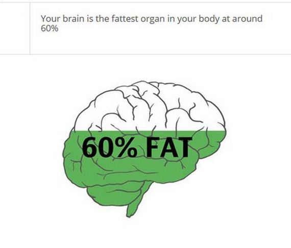 fascinating_stuff