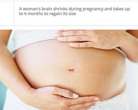 fascinating_stuff