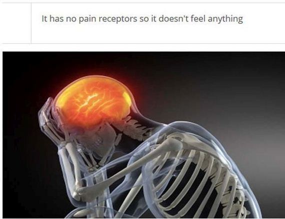 fascinating_stuff