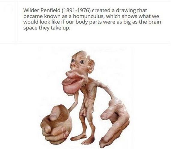 fascinating_stuff