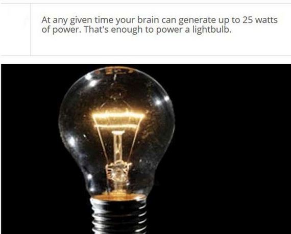 fascinating_stuff