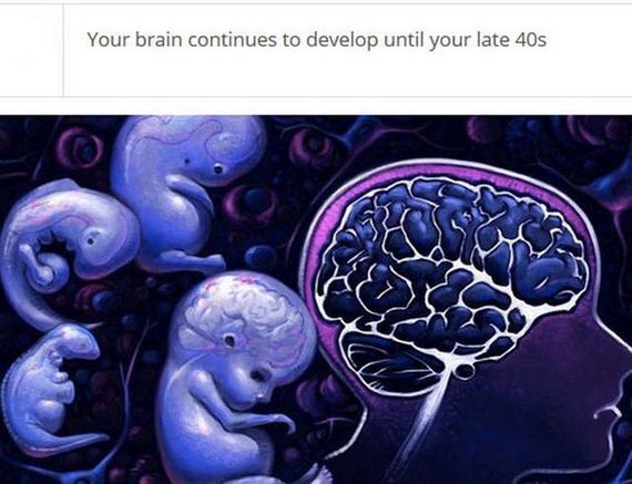 fascinating_stuff