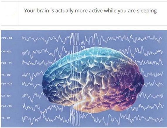 fascinating_stuff