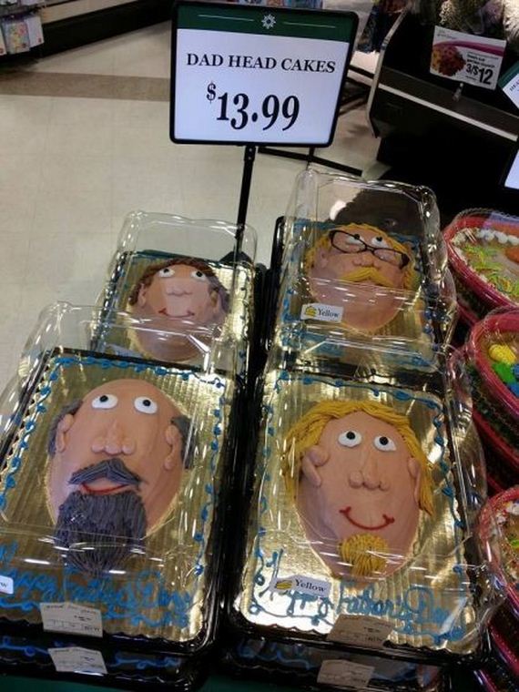 funny-pictures-740