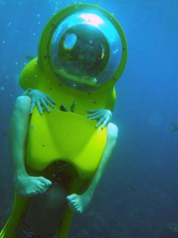 funny-pictures-740