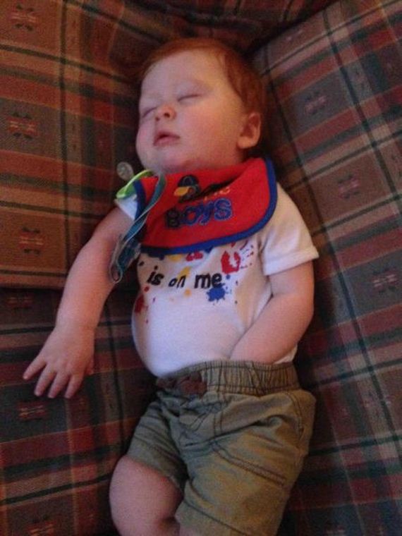 funny-pictures-740