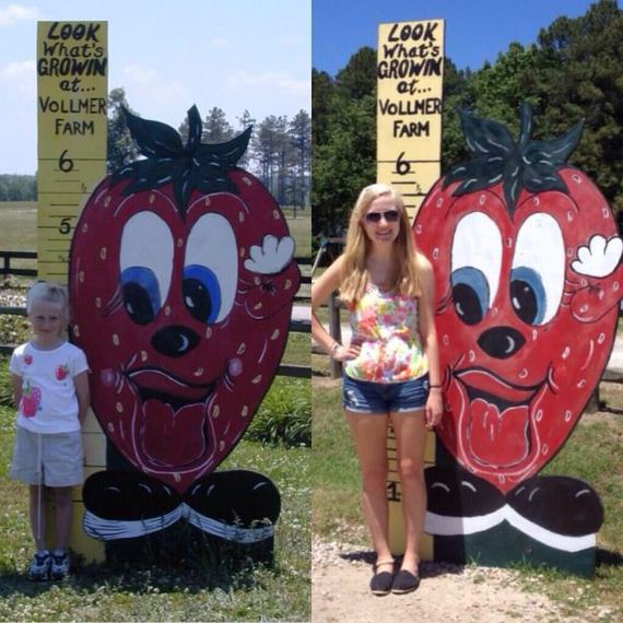 funny-pictures-740