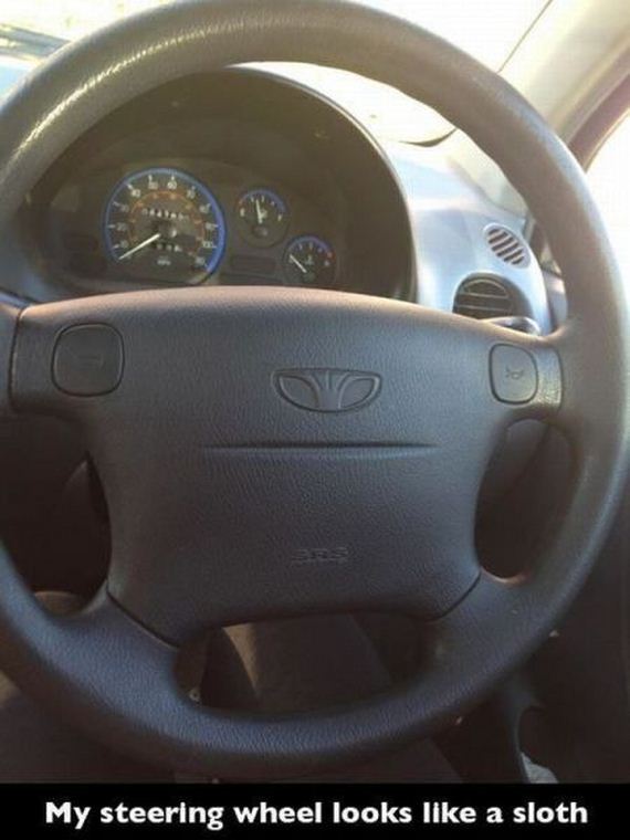 funny-pictures-740