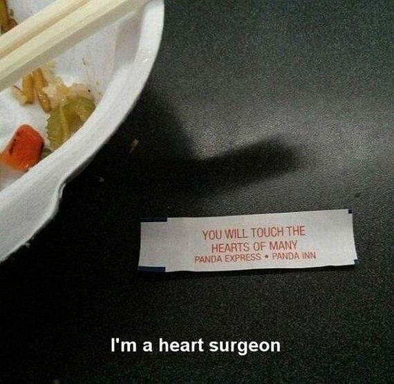 funny-pictures-740