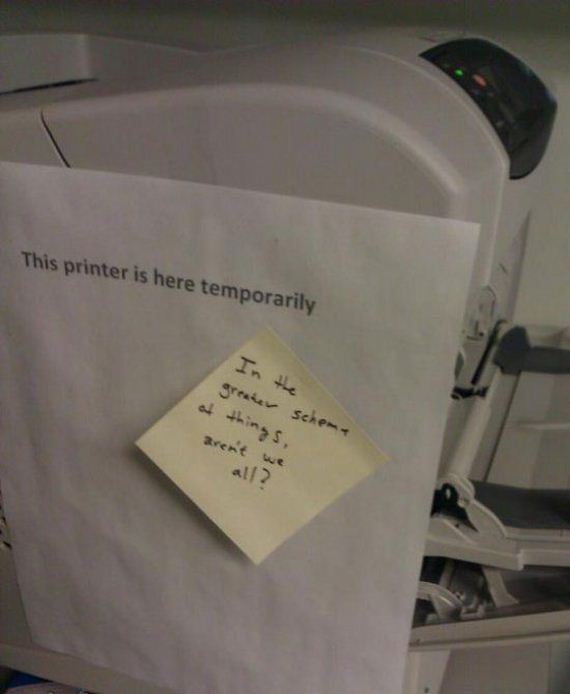 funny-pictures-740