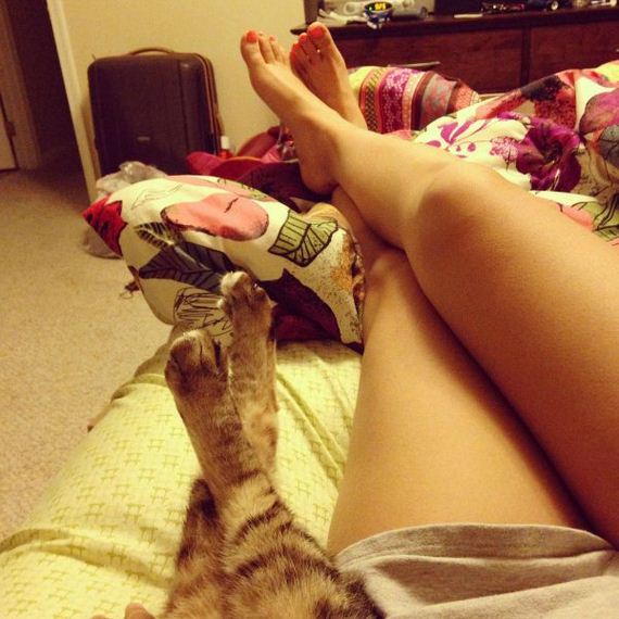 funny-pictures-741