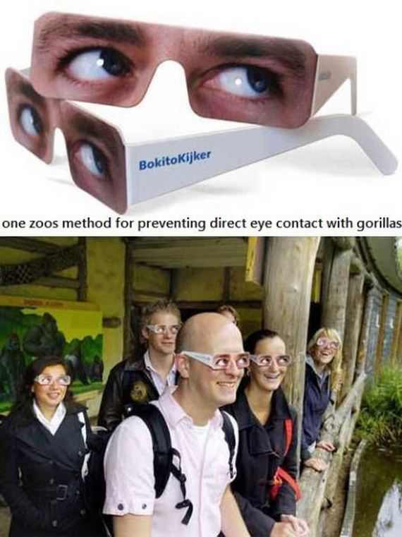 funny-pictures-741