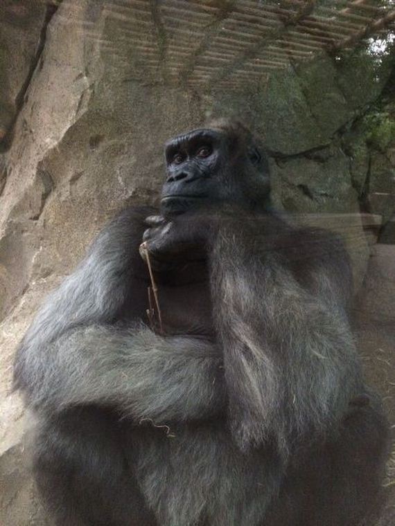 funny-pictures-741