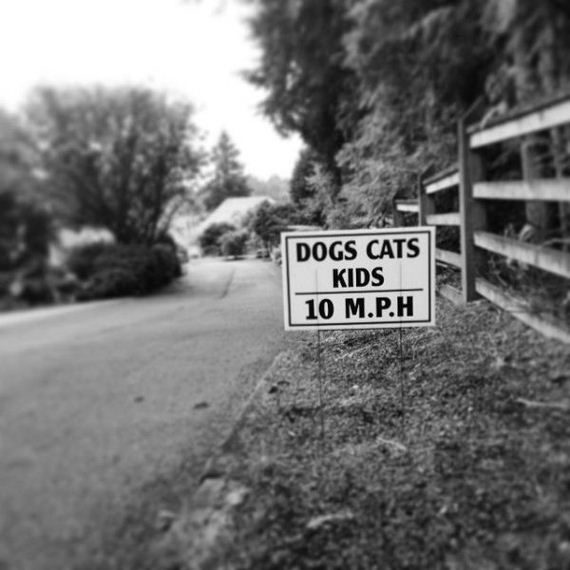 funny-pictures-741
