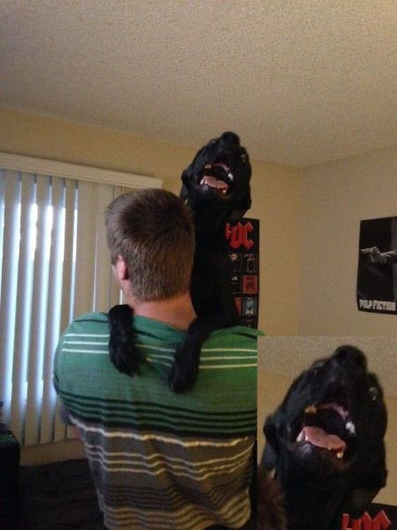 funny-pictures-741