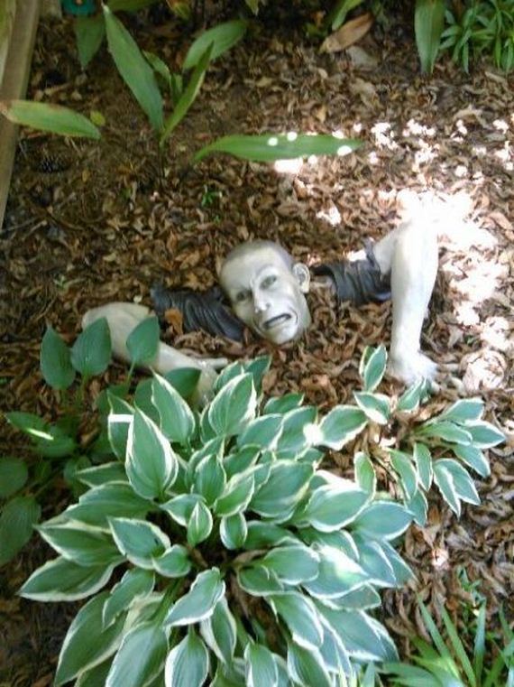funny-pictures-742