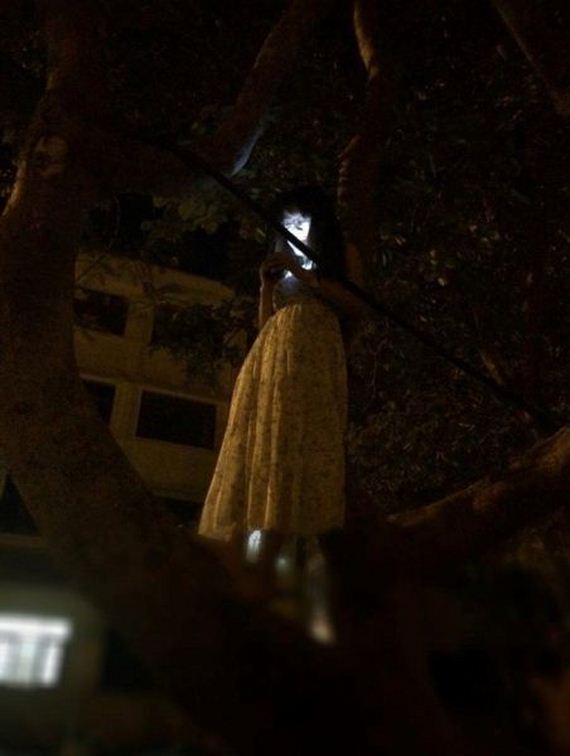 funny-pictures-742