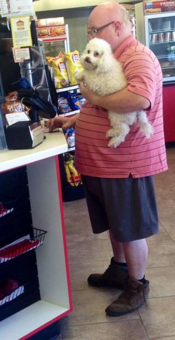 funny-pictures-742