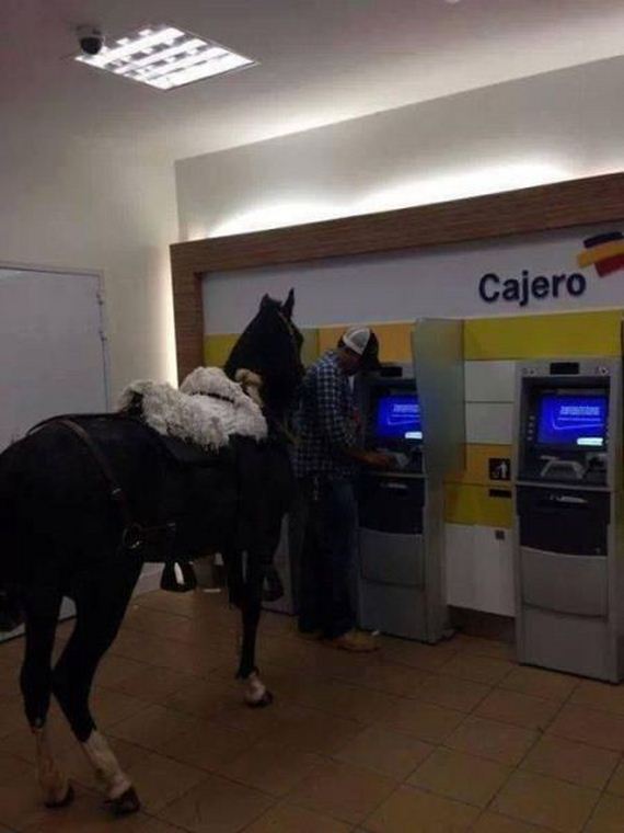 funny-pictures-743