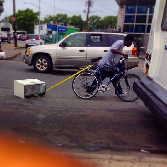 funny-pictures-743